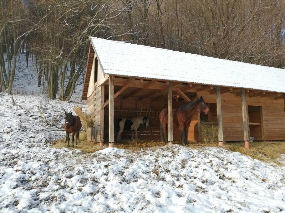 Oddychovy Pobyt Na Rodinnej Farme Matiaska Exterior photo